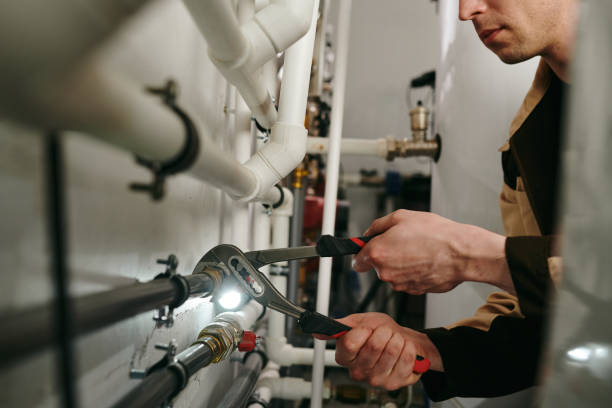 Best Plumbing Services Near Me  in Lakefield, MN
