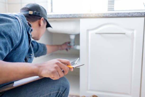 Best Septic Systems  in Lakefield, MN