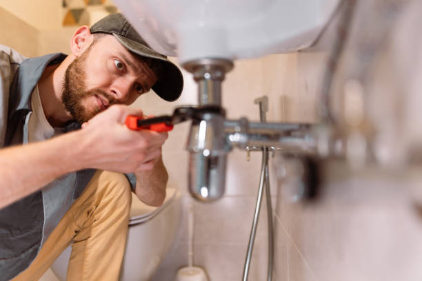 Best Residential Plumbing Services  in Lakefield, MN